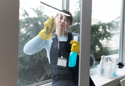 Nettoyage de vitres intérieures et extérieures à Bréviandes
